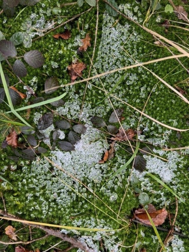 Adventliches Innehalten
