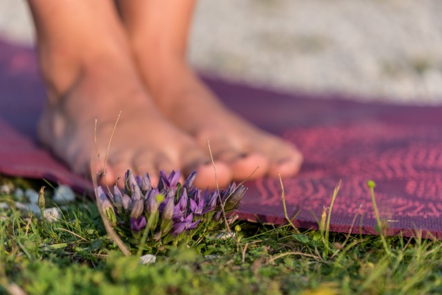 Frühlingserwachen - Ein ganzheitlicher Yoga-Workshop