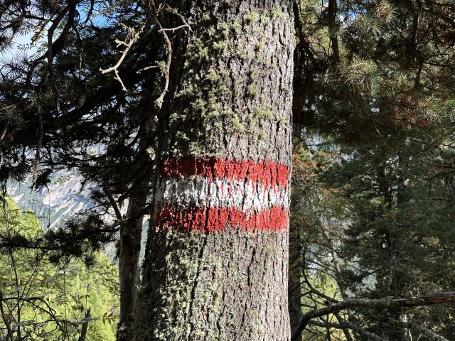 Innerer Kompass - Halt und Verbundenheit in komplexen Zeiten