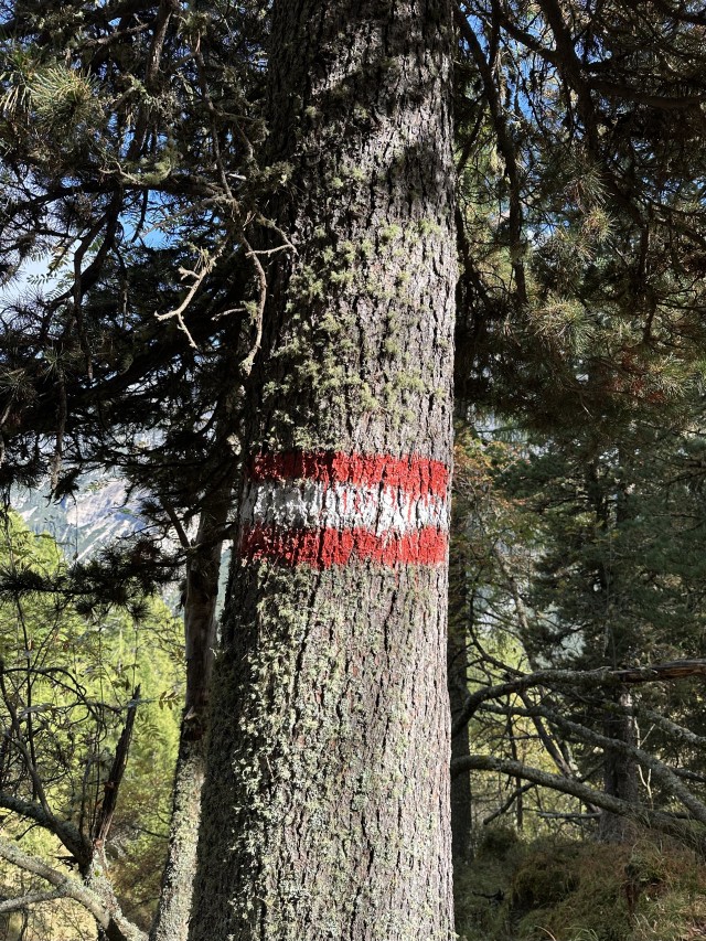 Innerer Kompass - Halt und Verbundenheit in komplexen Zeiten