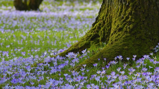 Leicht und locker. Atemtechniken für ein bewusstes Leben