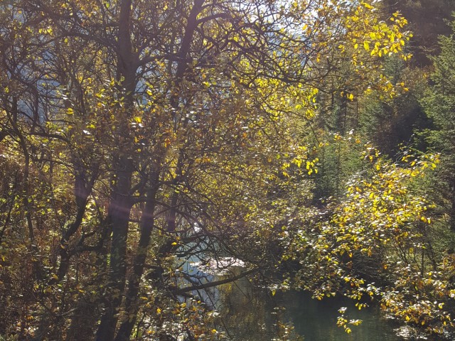 Schritte - Worte - Begegnungen. Sanftes Wandern im Wipptal