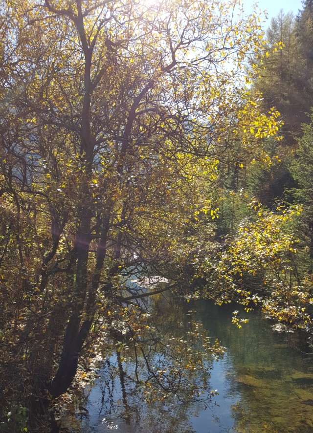 Schritte - Worte - Begegnungen. Sanftes Wandern im Wipptal