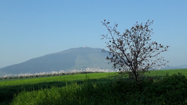 Berge im Matthäusevangelium. Hoch und Heilig