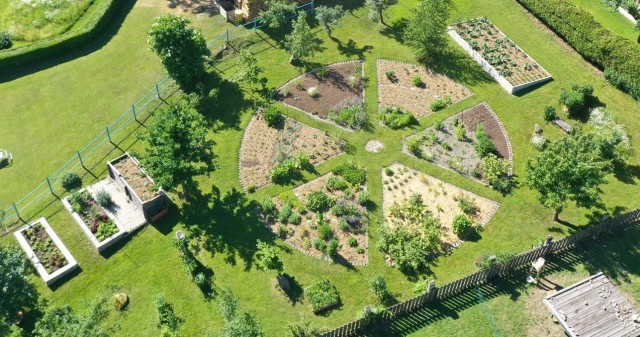 Der Garten im Frühling