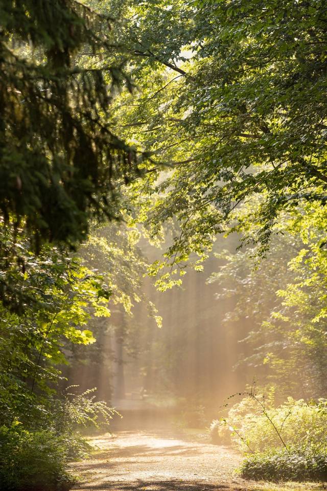 TAI JI ZEN und NATUR