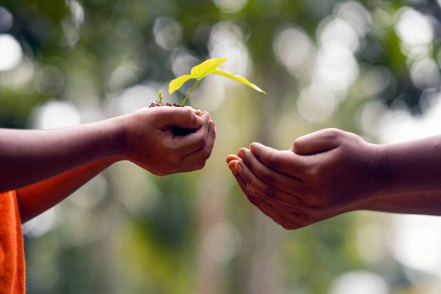 Caritas-Aufruf zum Klimabonus-Teilen