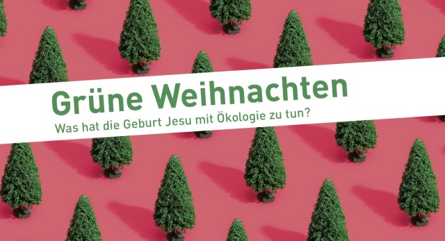 "Grüne Weihnachten": Gesprächsabend zum Ökofaktor von Weihnachten