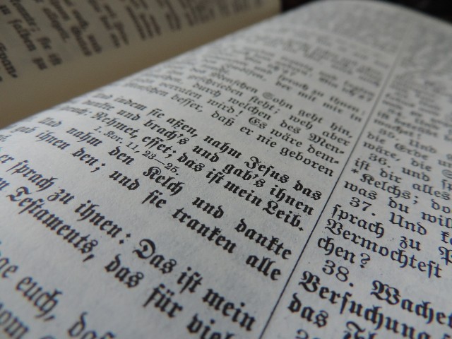 Schönborn räumt mit Mär vom "Genderwahn" in neuer Bibel auf