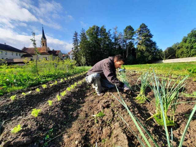 Solidarische Landwirtschaft als Projekt des Verein Emmaus