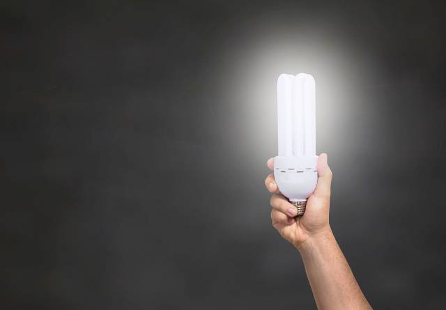 Vatikan gibt Umwelttipps: Von der LED-Lampe bis zum Rasenschnitt